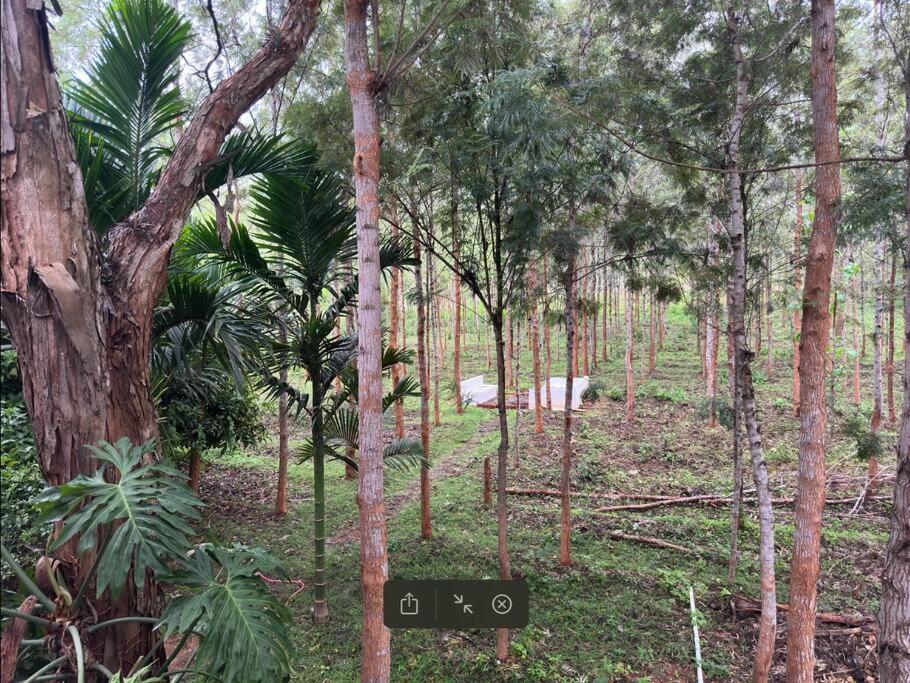 Serenity Farm Stay Hampāpura 外观 照片